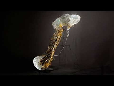 Sam Gendel - I Swear (Official Visualizer)