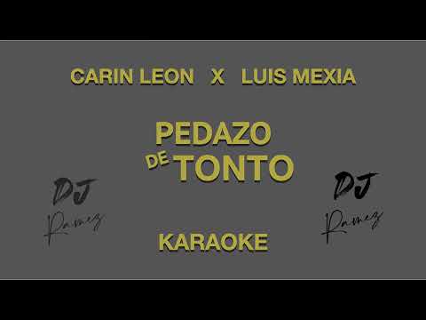 Pedazo de Tonto Carin Leon x Luis Mexia Karaoke 2023