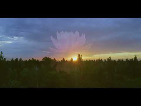 Godrej Woodscapes Project Tour 1