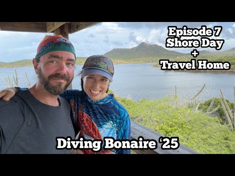 Climbing Brandaris Bonaire Highpoint | Washington-Slagbaai National Park | Diving Bonaire '25 Ep 7