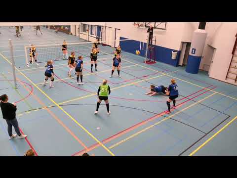 VVAB DS1 - Voleem DS1