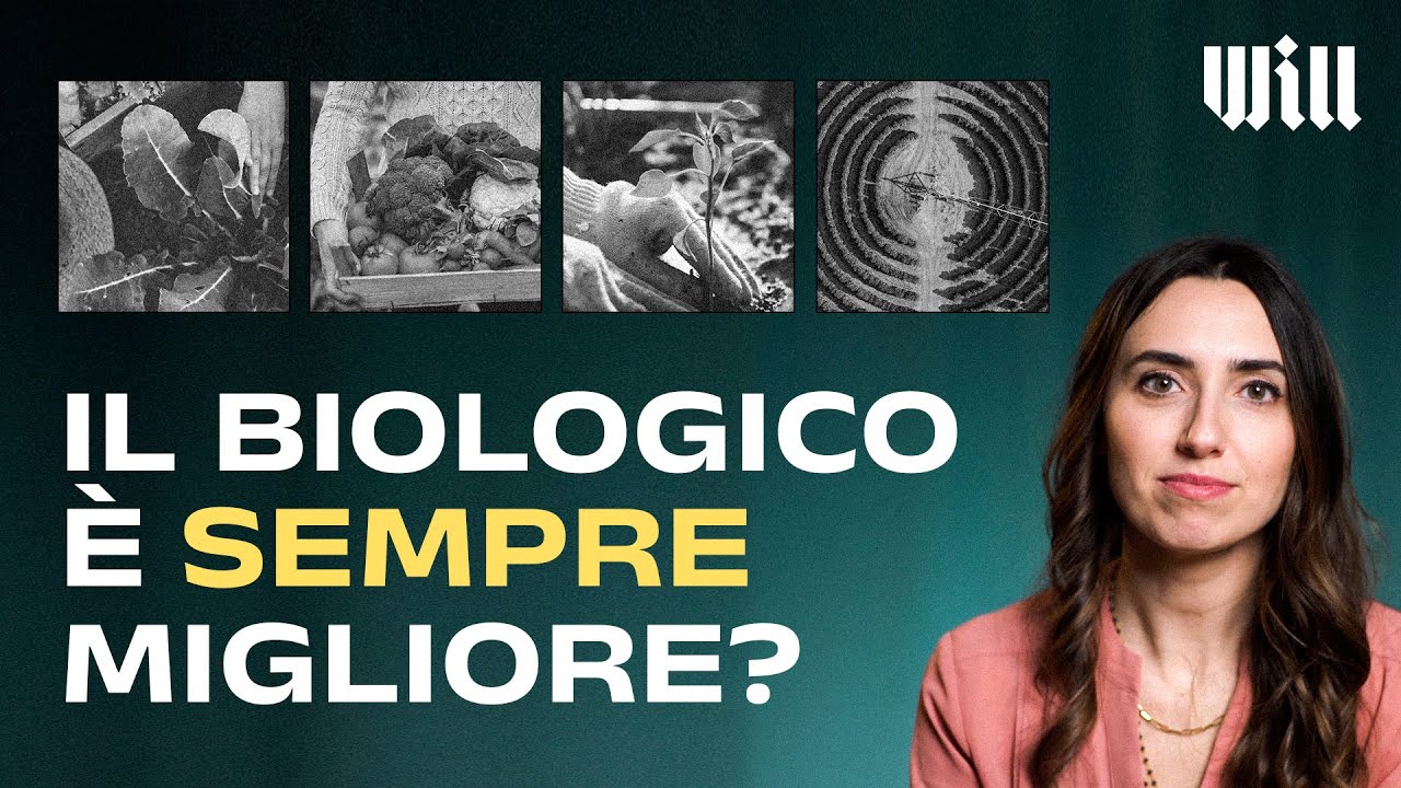 Cibo BIOLOGICO contro cibo CONVENZIONALE: quale è meglio? Non è così semplice