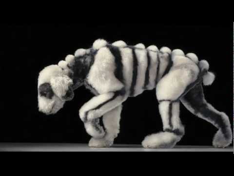 HUNGER TV: TIM FLACH - DOGS PART 1