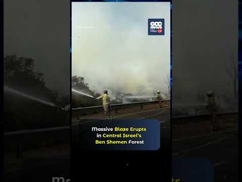 Major Ben Shemen Forest Fire Shuts Key Highways in Israel