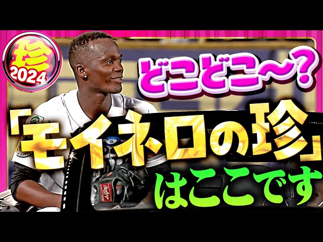 【どこどこ~?】かわいい、愛くるしいモイネロ【珍プレー】