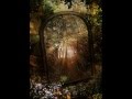 David Sun - Enchanted Forest (B) (The Enchanted Forest)
