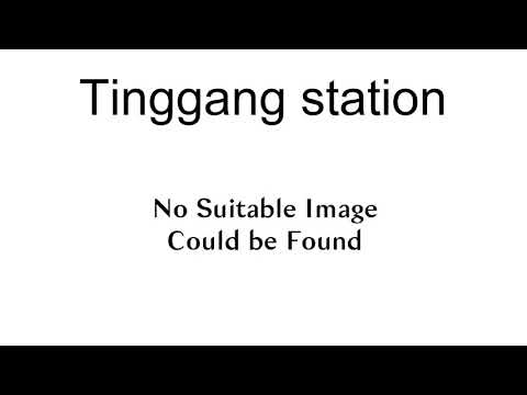 Tinggang Station