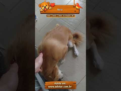 Vídeo de Nina