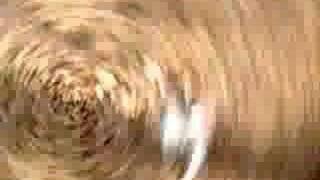 Brian Eno - St. Elmo&#39;s Fire