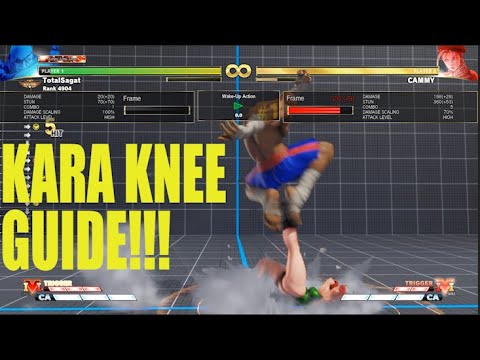 Kara Chameleon - Sagat Kara Knee Guide