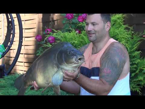 Ale Karp Fishing Team odc. 6/2020 - "...w domu najlepiej", Olsztyn - j. Sukiel VIII.2020