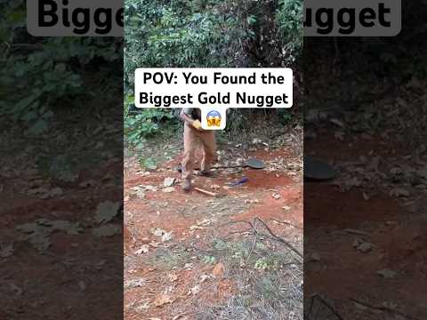 Pure Joy🥹🙌 #metaldetecting #goldprospecting #viralshorts #garrett #garrettaxiom