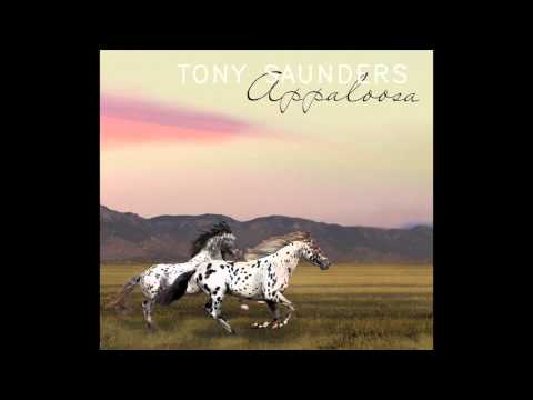 Tony Saunders - Appaloosa (2014)