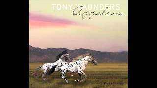 Tony Saunders - Appaloosa (2014)