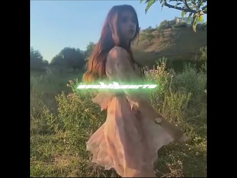 shady MOON - moonlight lovers (prod. Fantom) OUT ON SPOTIFY NOW!