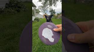 Frisbee Friday Gem Pack Vol 5 packs 7&8 #pokemon #dogs #pokemoncards #frisbeefriday #gempackvol5