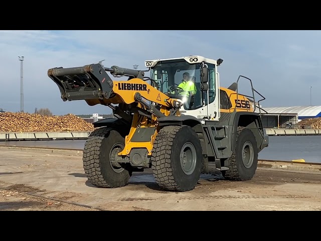 884707 Wheel loader Liebherr L556 Xpower - 2019