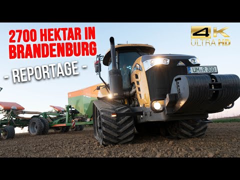 Ruhe Agrar Teil 2: Standort Parmen - Maisaussaat (Challenger Raupen und Xerion 5000)