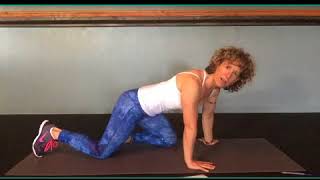 Why the Hinge Forward in Hi Chaturanga is Bad for You?