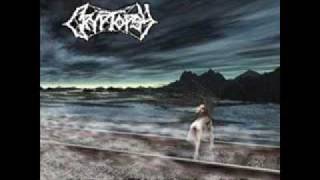 Cryptopsy - We Bleed