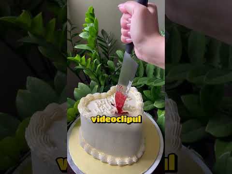 Acest cuplu a creat cea mai perfectă versiune a tortului cu sânge fals!
