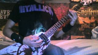 Trivium - no hope for the human race. guitar cover. (with solo)