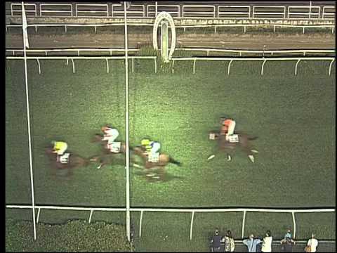 Galoppo 29/07/2015 - 5° corsa