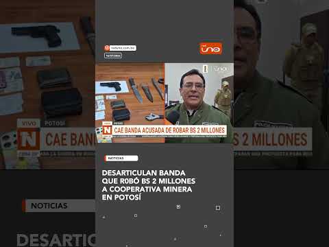 Desarticulan banda que r0bó Bs 2 millones a cooperativa minera en Potosí