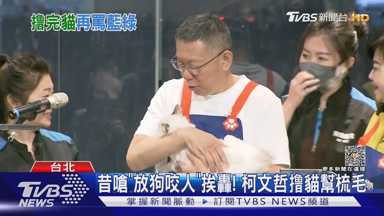 昔嗆「放狗咬人」挨轟! 柯文哲撸貓幫梳毛