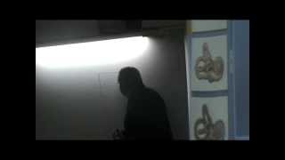 Dr Sherif Glal: Ear-superficial lymph nodes