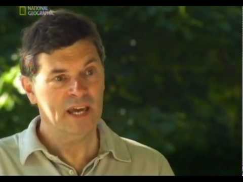 Dokumentumfilm - Pusztuló Föld