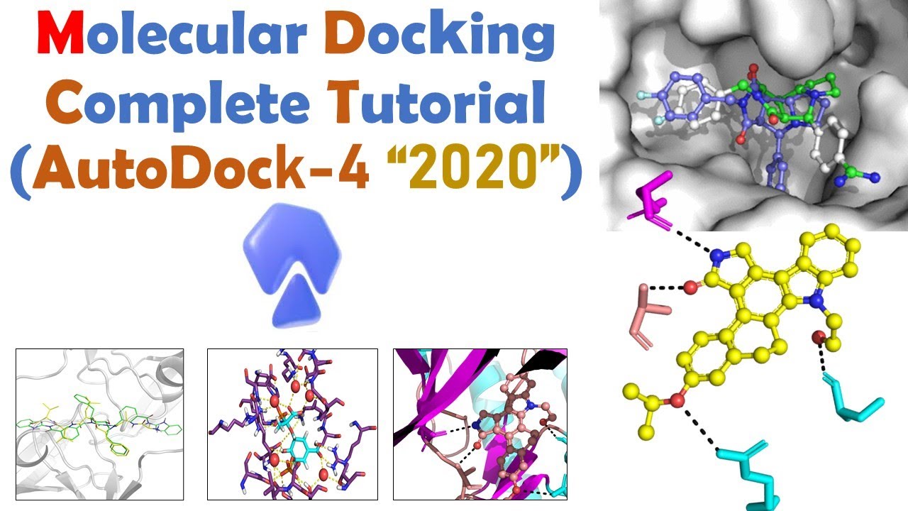 Molecular docking for Beginners | Autodock Full Tutorial | Bioinformatics