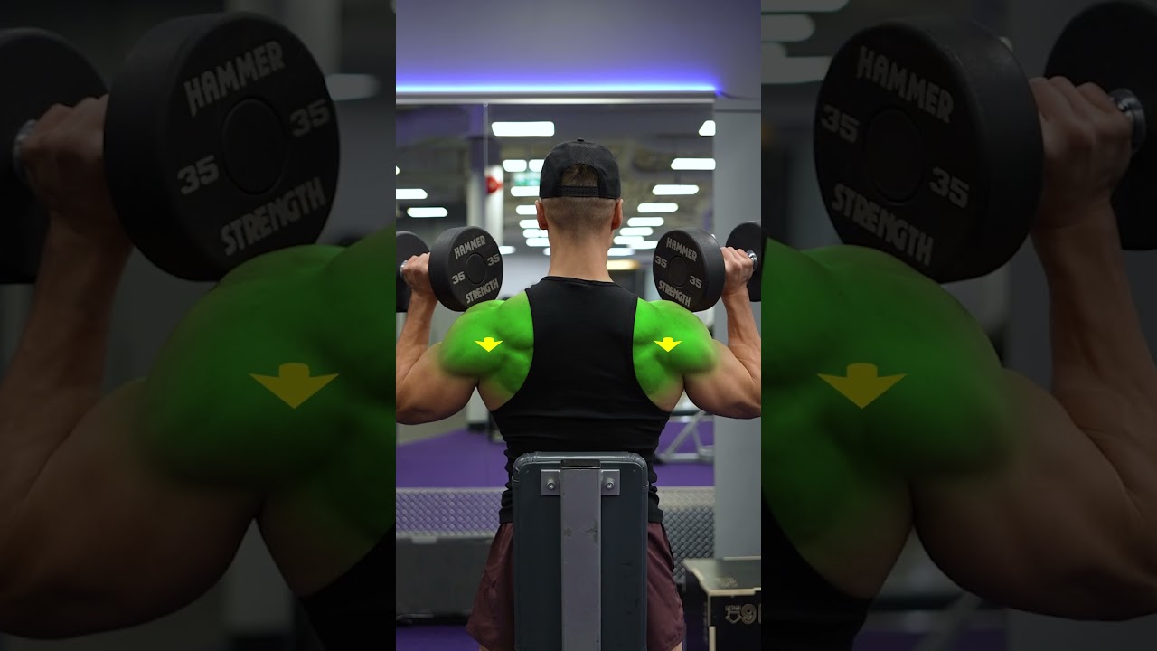 Grasp the Seated Dumbbell Overhead Press Setup: 5 Tick list Steps for More potent Shoulders