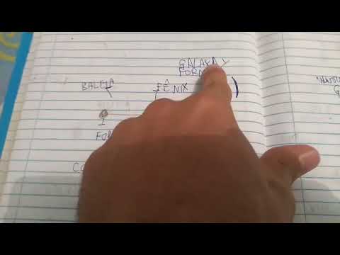 constelação de fornalha p47