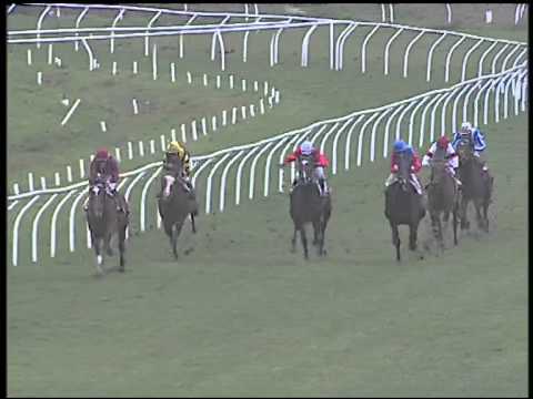 Galoppo 27/02/2015 - 1° corsa