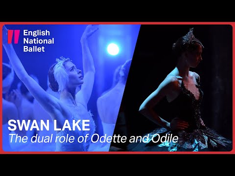 Swan Lake: The dual role of Odette and Odile | English National Ballet