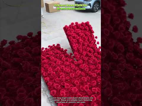Instant Rose Field for Grand Decorations