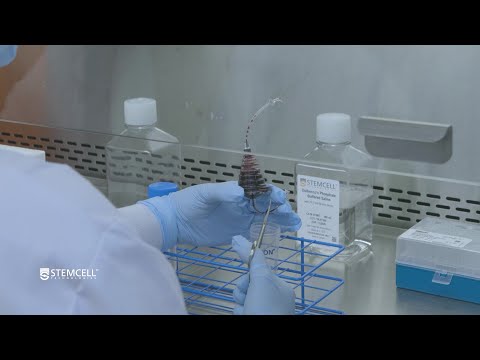 How to Recover Cells from a Leukocyte Reduction System (LRS) Cone or LRS Chamber