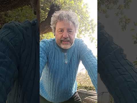 La scienza del passato, prossimo e remoto, secondo Chatgpt