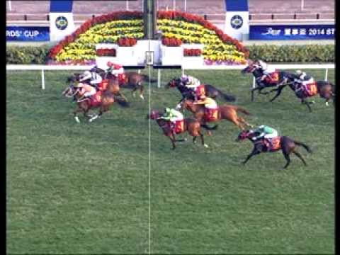 2014 The Stewards' Cup BLAZING SPEED 將男