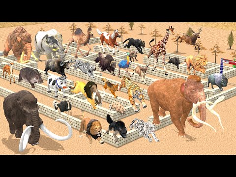 Maze Madness Race 23 Wild Animals, Which is the Fastest Animal? Animal Revolt Battle Simulator