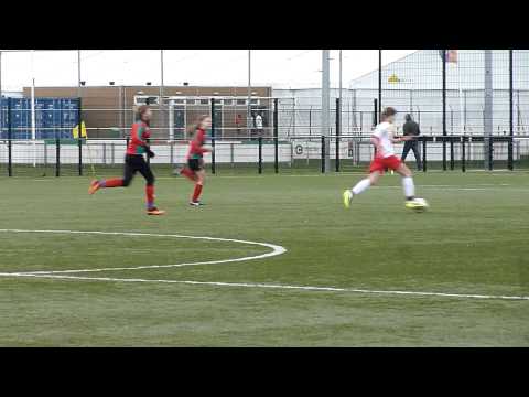 Zuidvogels MC1 - IJsselmeervogels MC1 - 01-02-2014 (Redding Laurine)