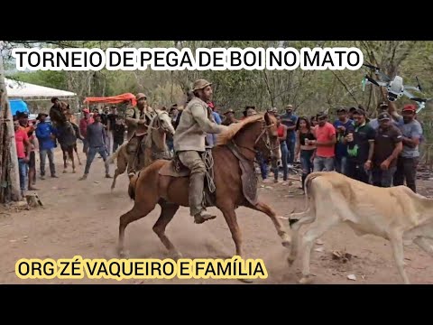 (DRONE) TORNEIO DE PEGA DE BOI NO MATO BARAUNA GROSSA IGUARACY-PE  ORG ZÉ VAQUEIRO E FAMÍLIA