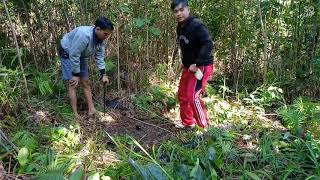 Download lagu Memikat Murai batu trotol mp3 Download lagu Memikat Murai batu trotol mp3