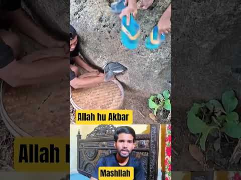wow amazing mashllah so many children😱😱 #islamicyoutube #tiktoktrend #FunnyRe #youtubeshorts #comedy