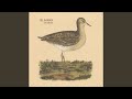 Measures & Scales