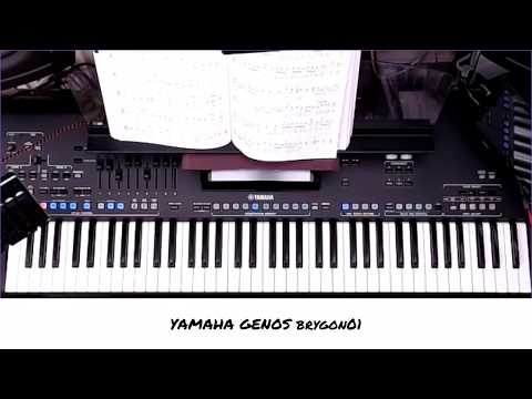 YAMAHA GENOS, A PIRATES LIFE