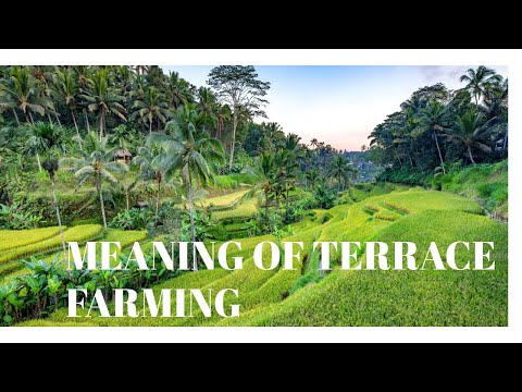 MEANING OF TERRACE FARMING