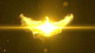 Download lagu Burung Walet Kejar-Kejaran Karena Birahi   SP Baru Siap di Bagi mp3