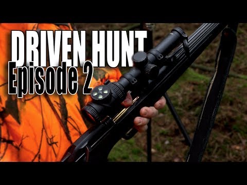 DRIVEN HUNT EPISODE 2 - Wild boar & deer at Trulstorp - Drückjagd - Drevjakt